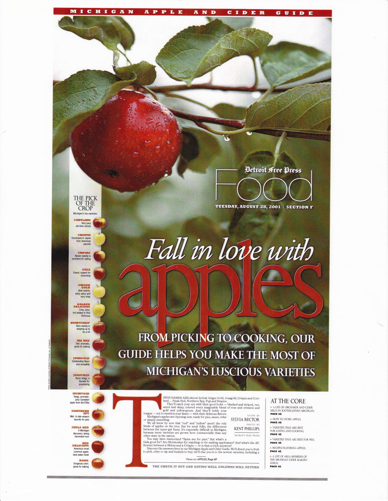 Cover_Apples copy.png