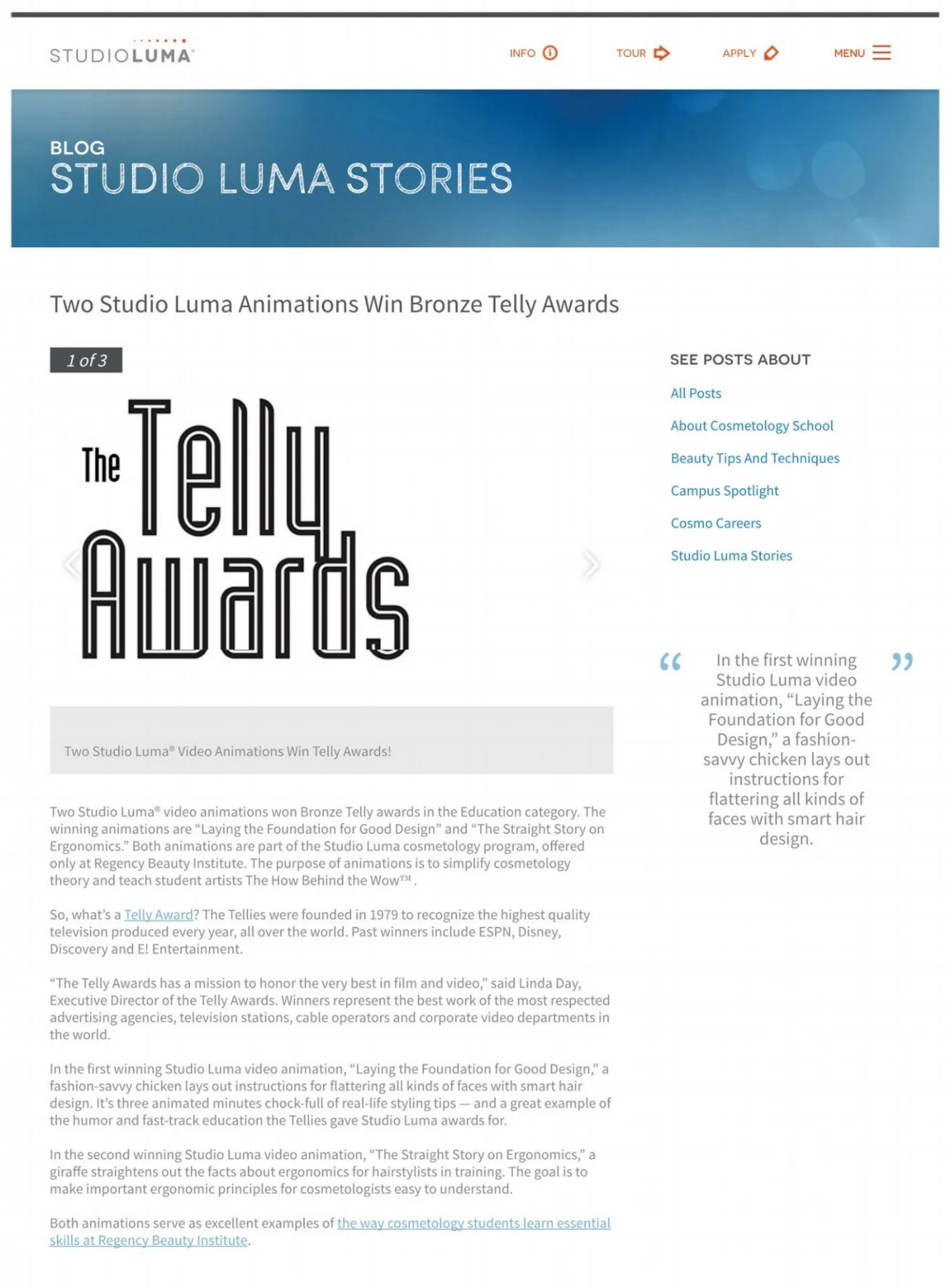 Telly Award.jpg