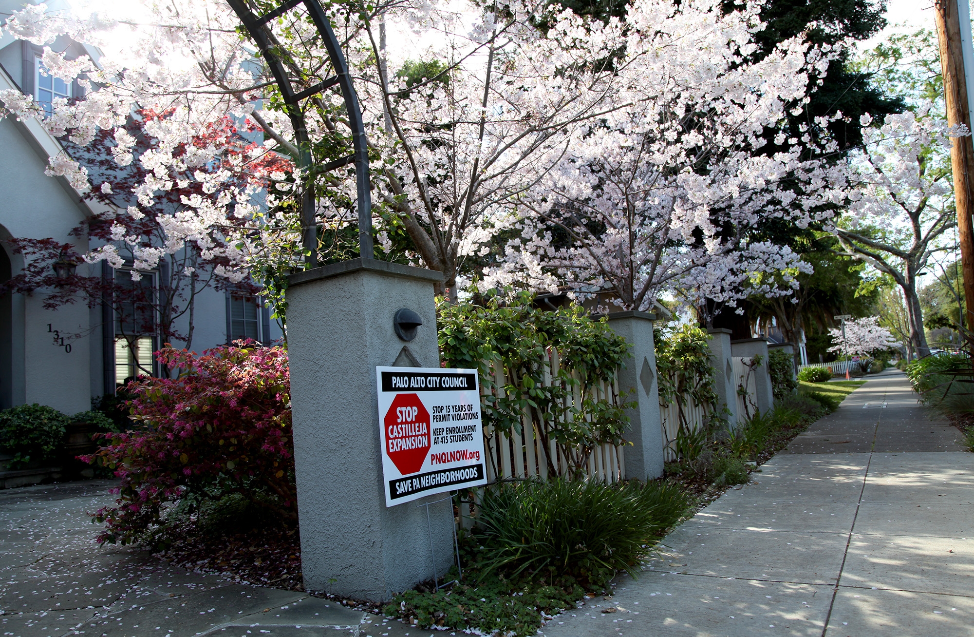 palo alto residents fight castilleja expansion.JPG