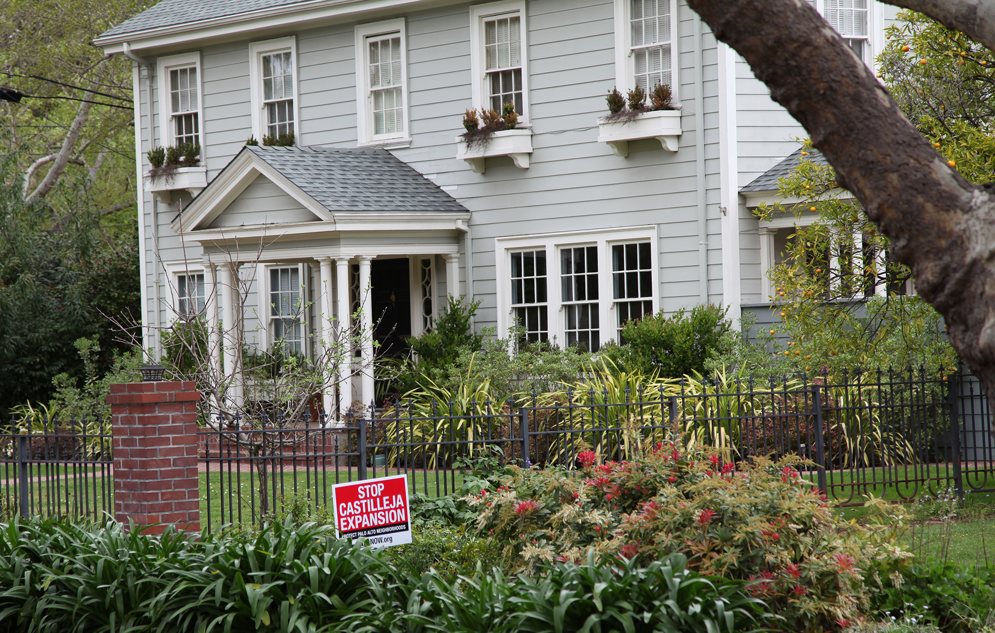 palo alto fights castilleja