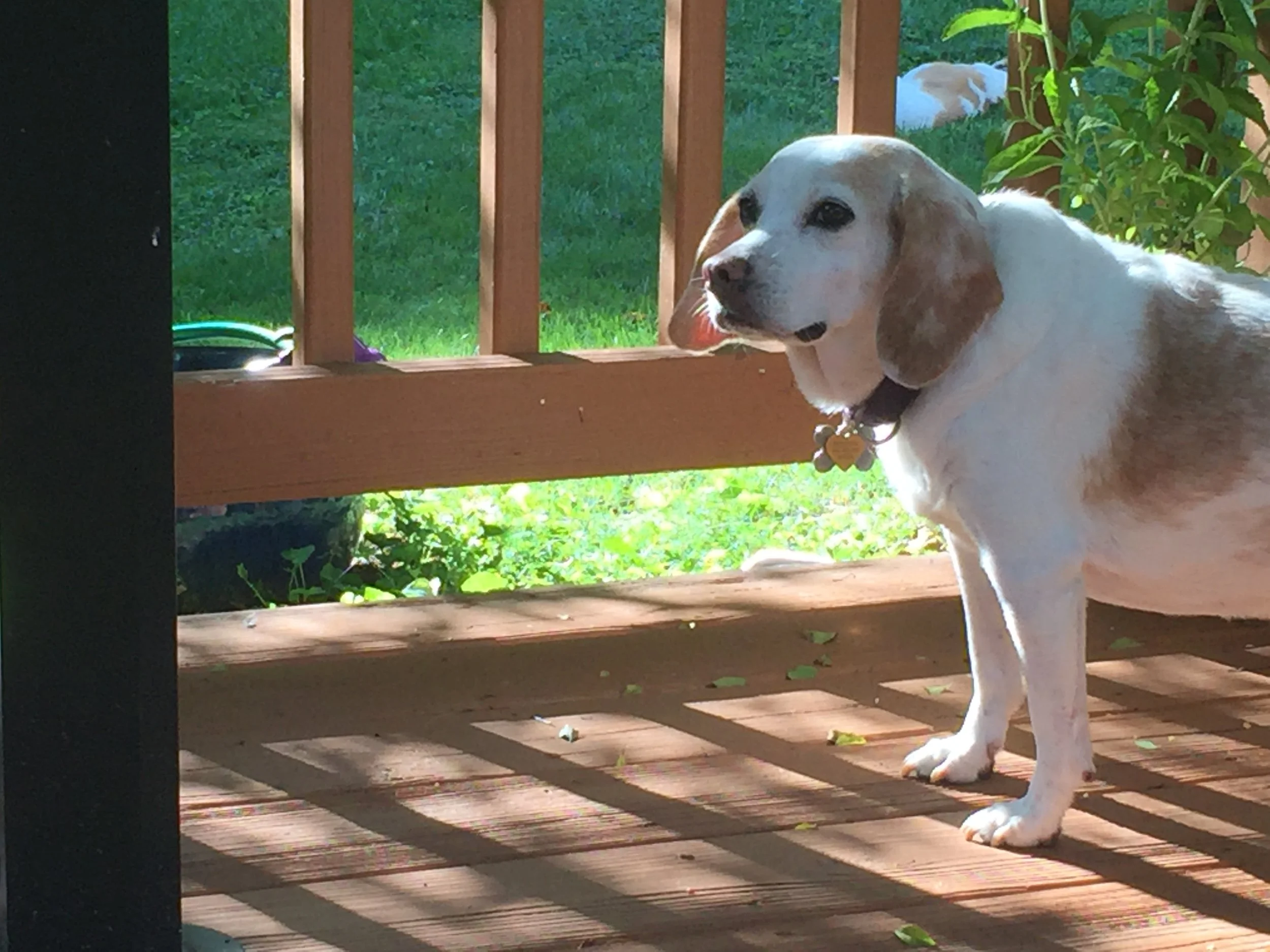 The Power of Humility