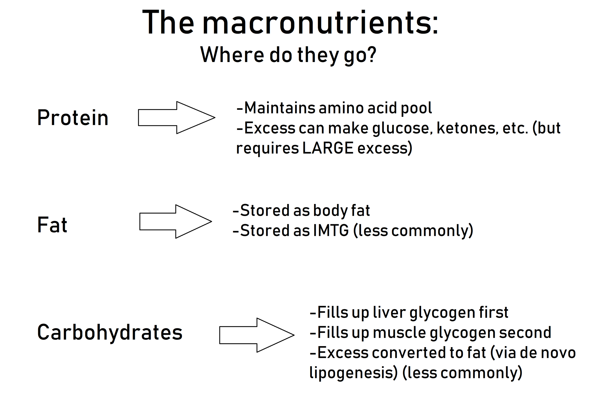 Where each macronutrient ultimately goes after digestion and absorption. Each one has some other destinations not listed here, but these are the most pertinent for our purposes. Not listed here is the fourth macronutrient, alcohol, which does not directly go into any "storage compartment in the body." Rather, the body holds off on dealing with any other macronutrient and preferentially metabolizes alcohol once it has been ingested. Alcohol bypasses normal metabolic processes and is sent straight into the bloodstream. 