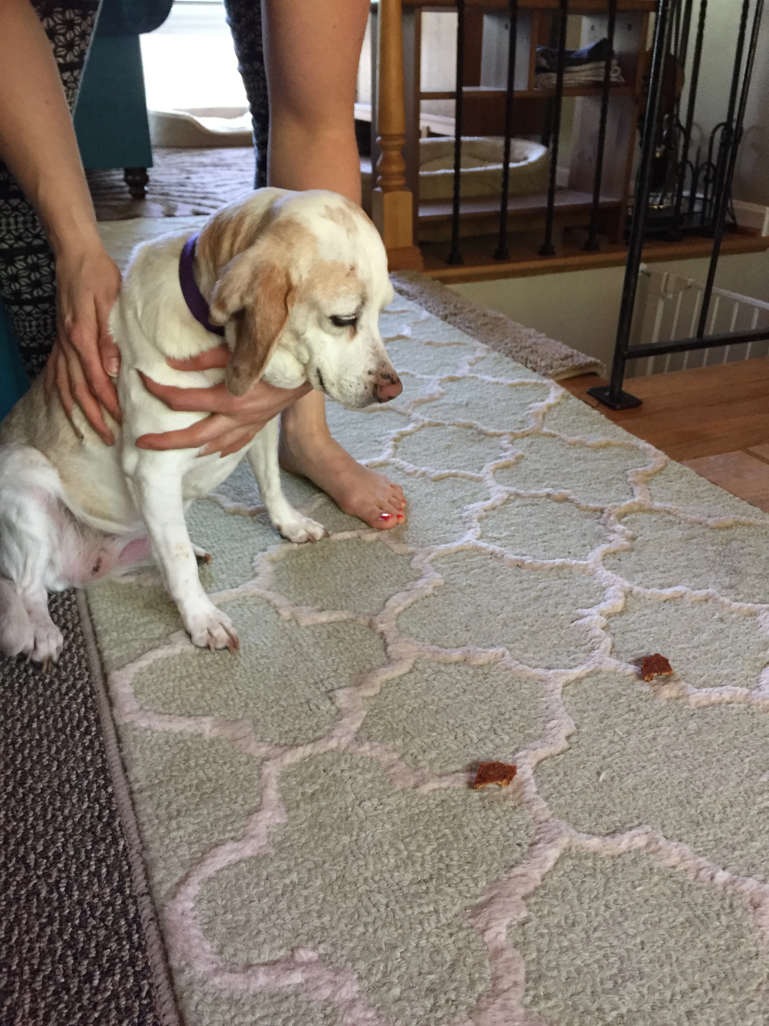 Have one goal at a time