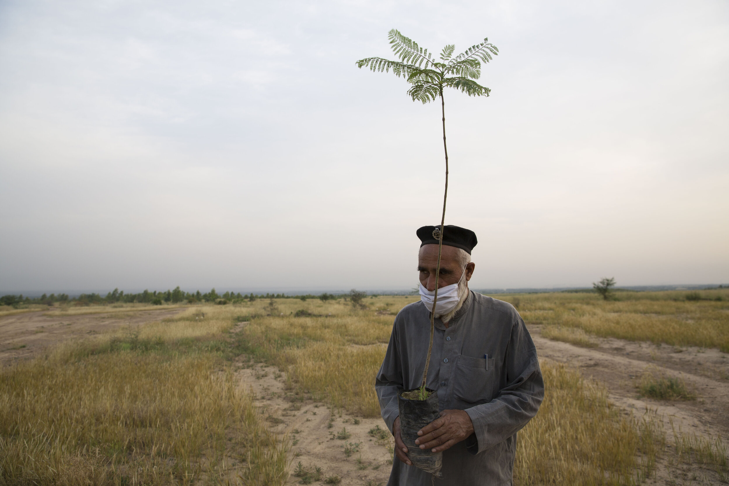 Nat Geo covid-grant.