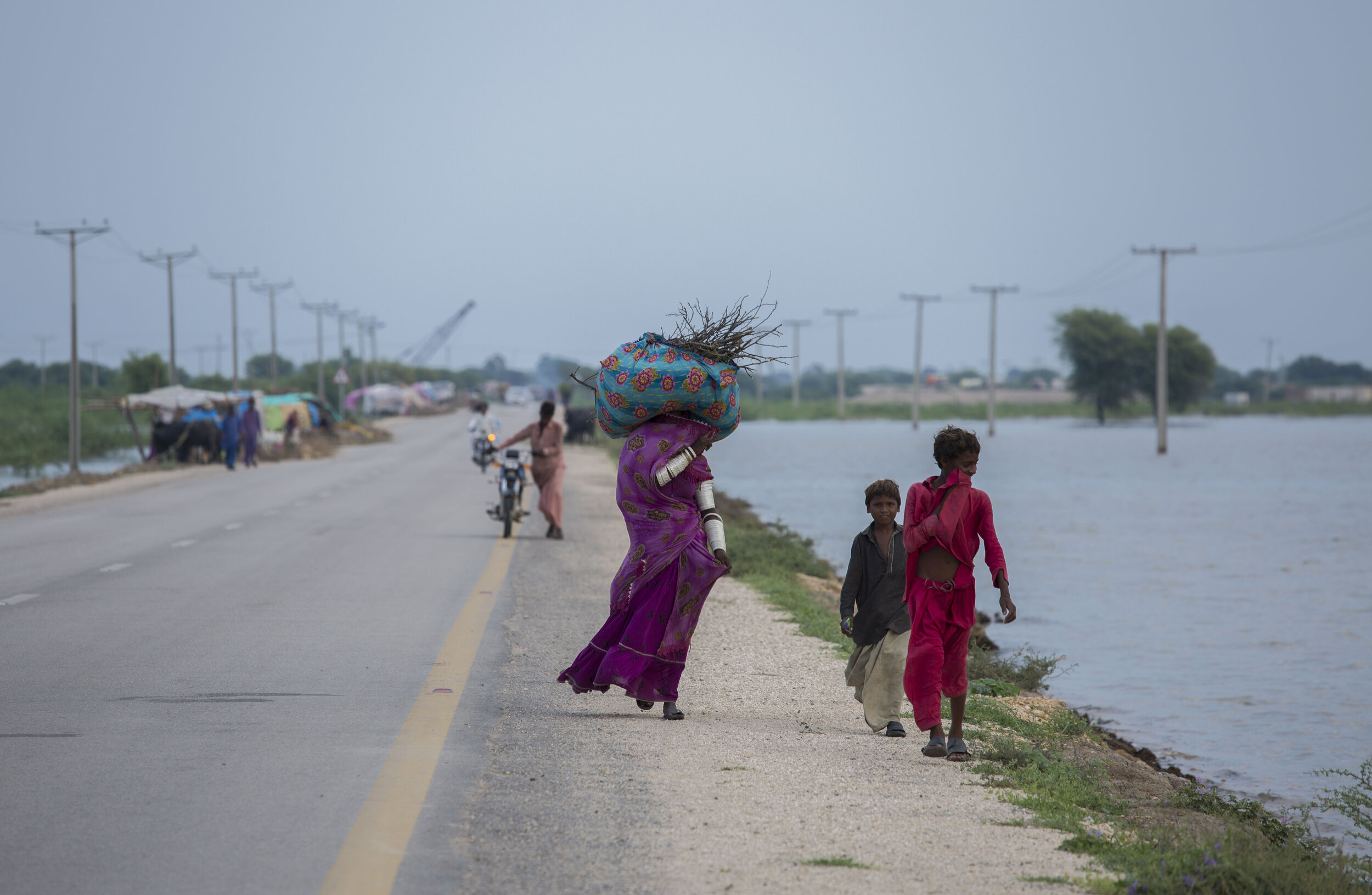  Kanwari walks for miles along with her children carrying wood for cooking as they remain homeless. 