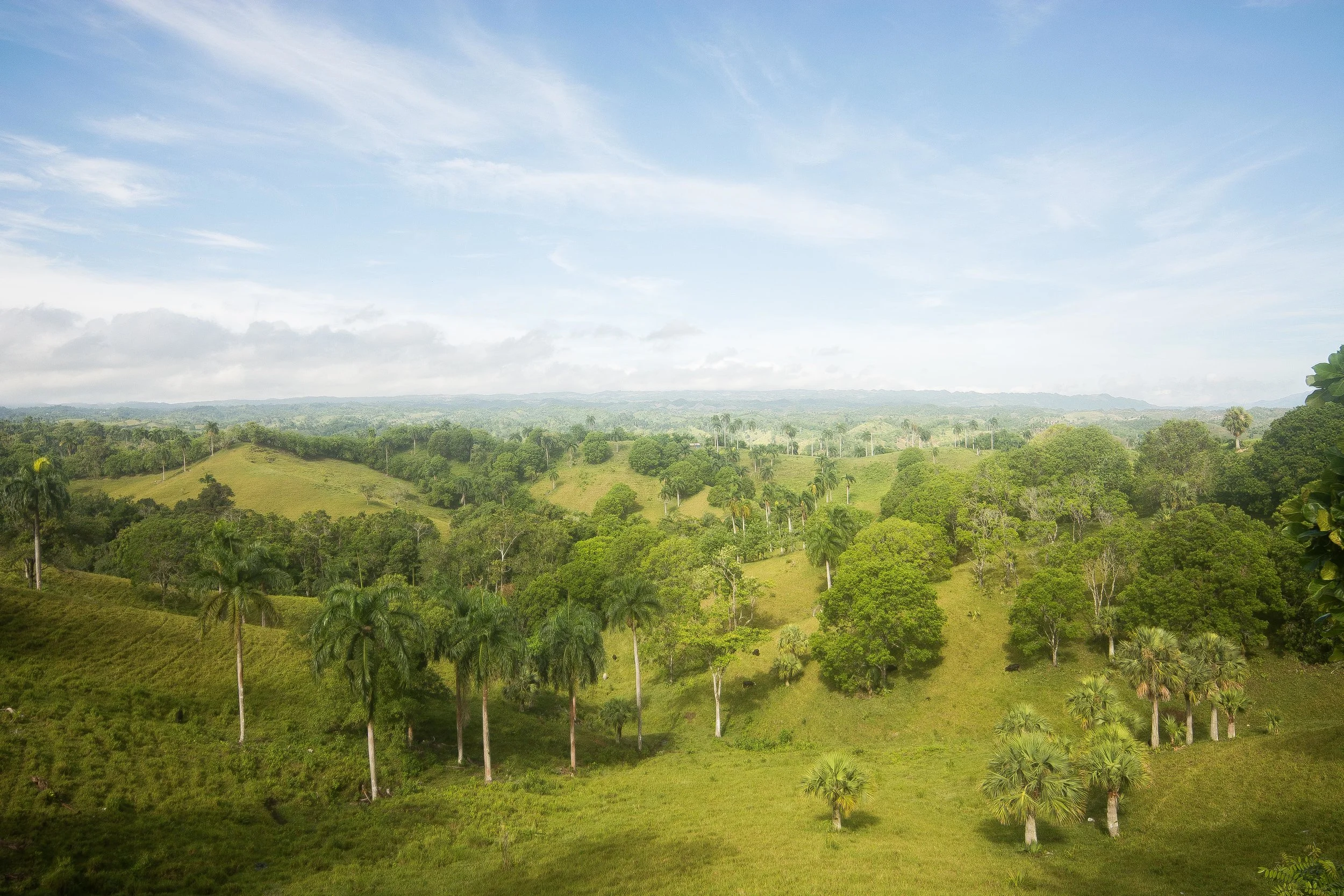DR2016 Landscape.jpg