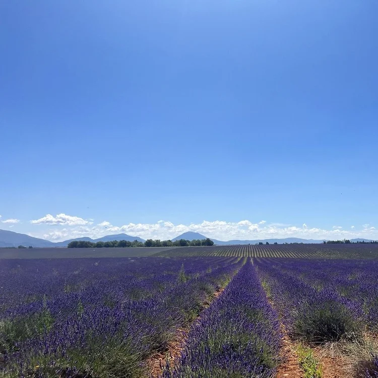 Valensole, France