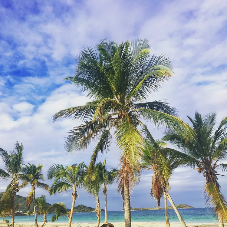 Saint Martin, F.W.I.