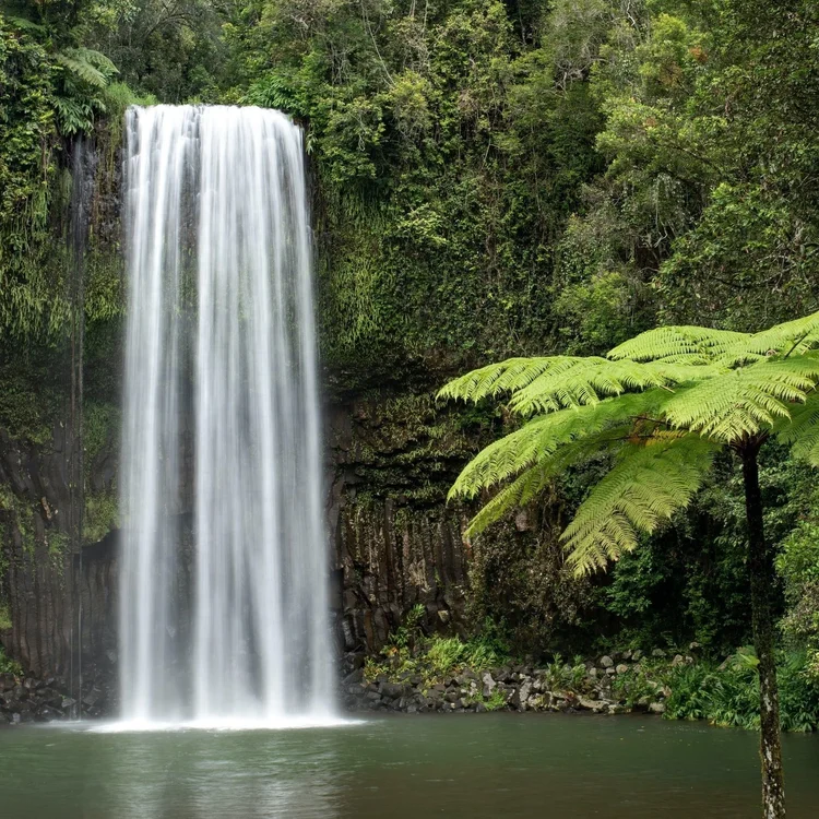 Cairns, Australia