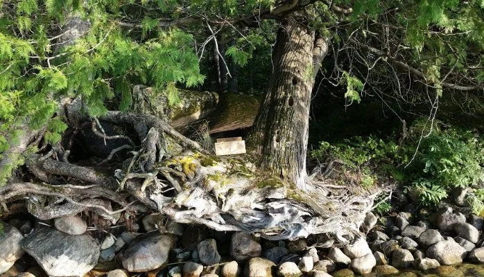 What kind of leaders do we need now?