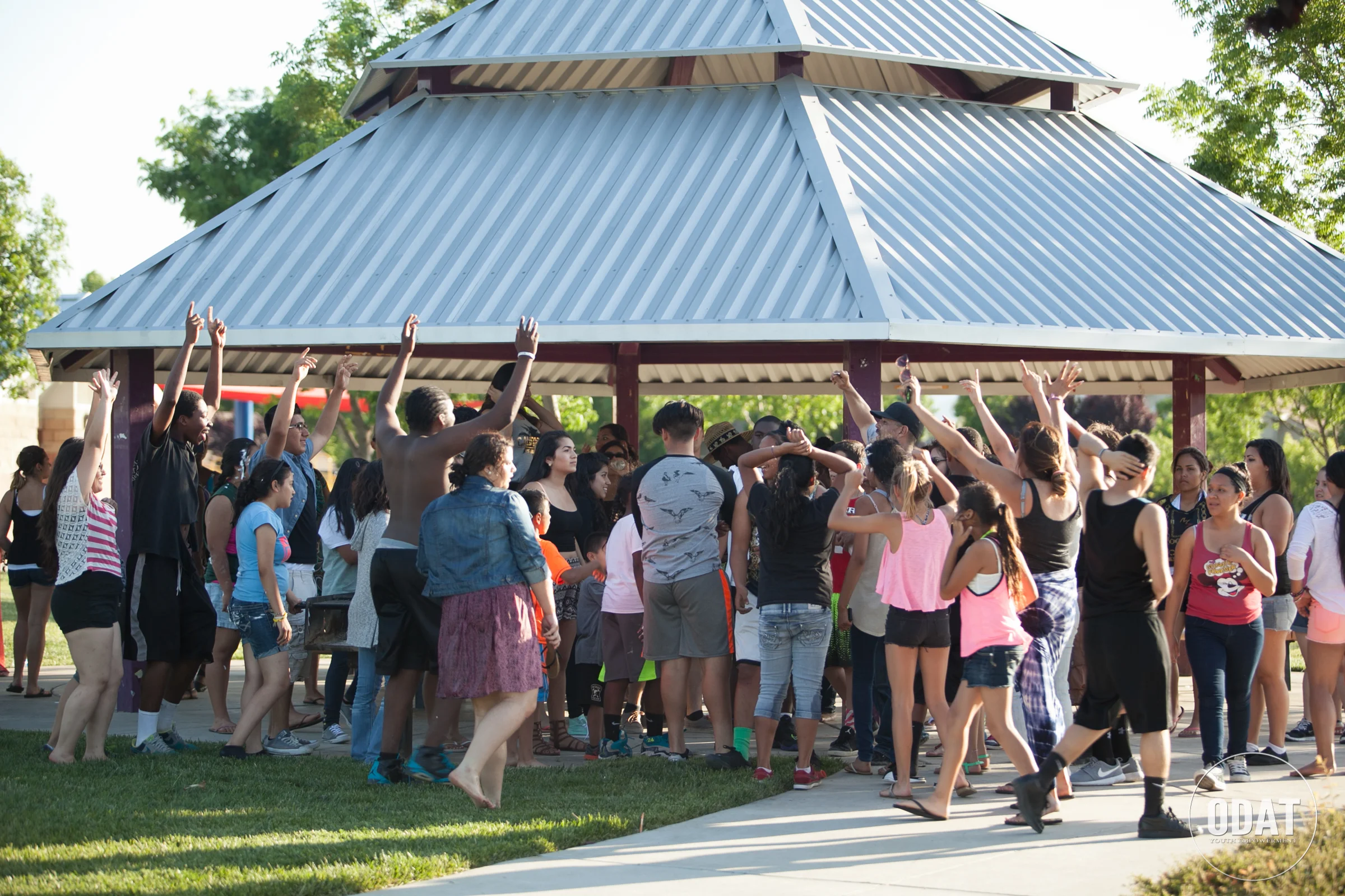 ODAT 20th Year Anniversary BBQ