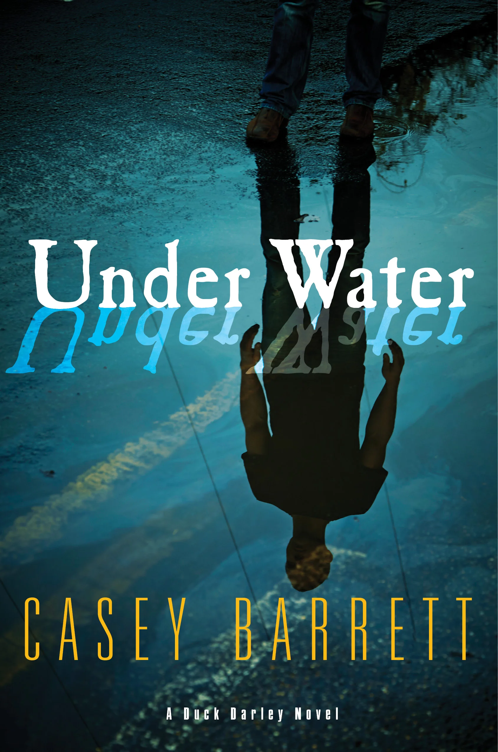 casey barrett, author, duck darley, swimmer, new york city, book