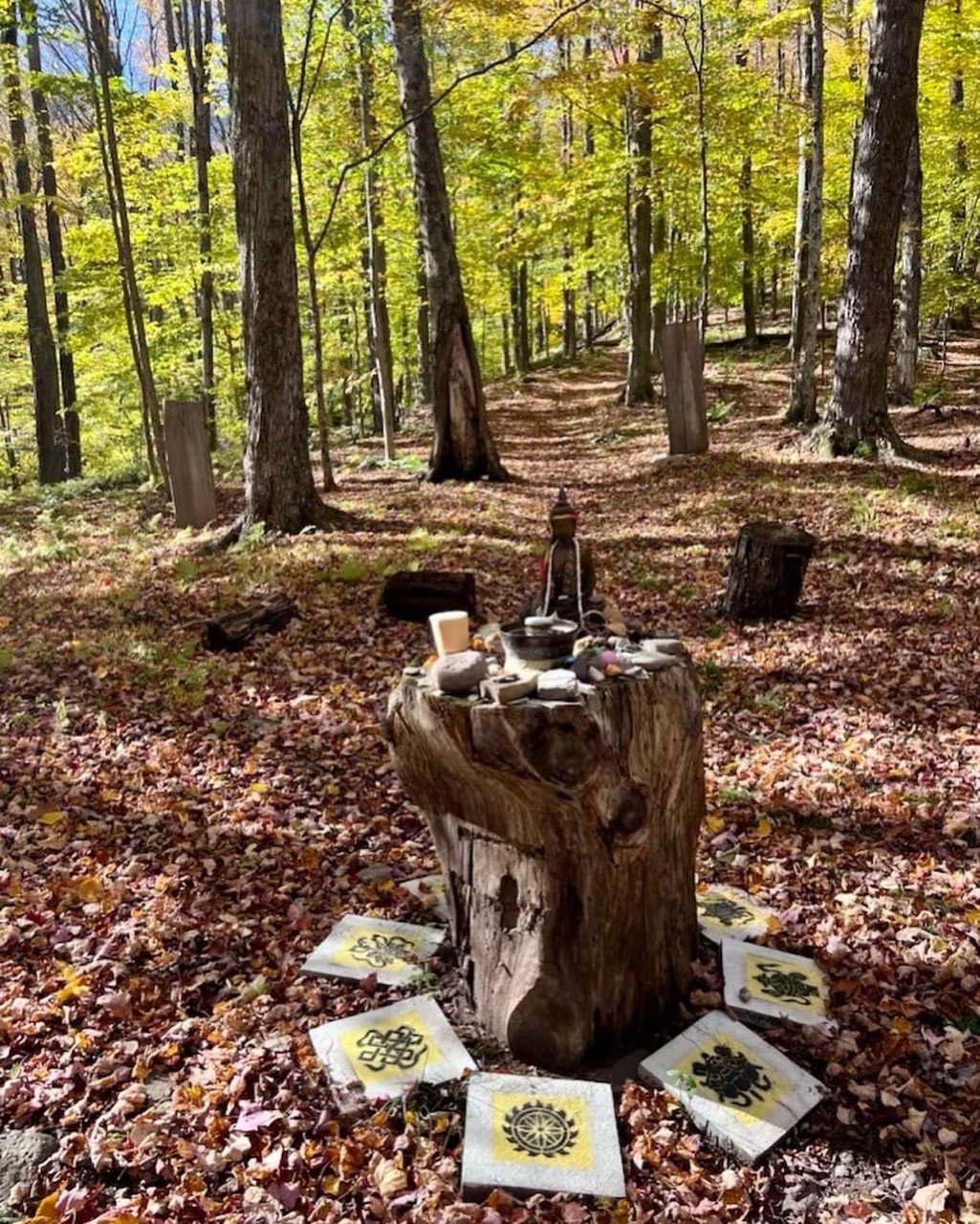 Forest Altar.jpg