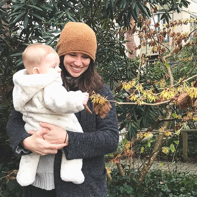 Baby meets another friend that helped his mama heal postpartum 💚Any #herbnerds out there know its name? 🤓

I was asked to share a bit about the plants that supported me through those wild and crazy, transformative early days. So here were some of m