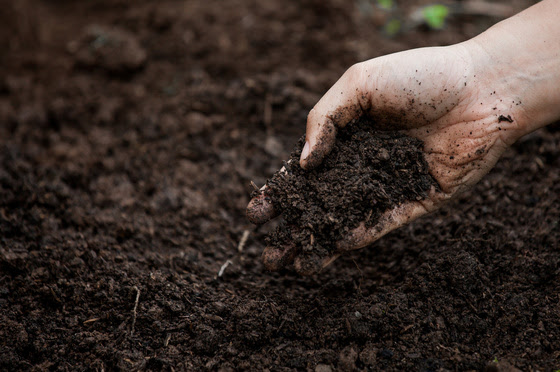 dirt.jpg