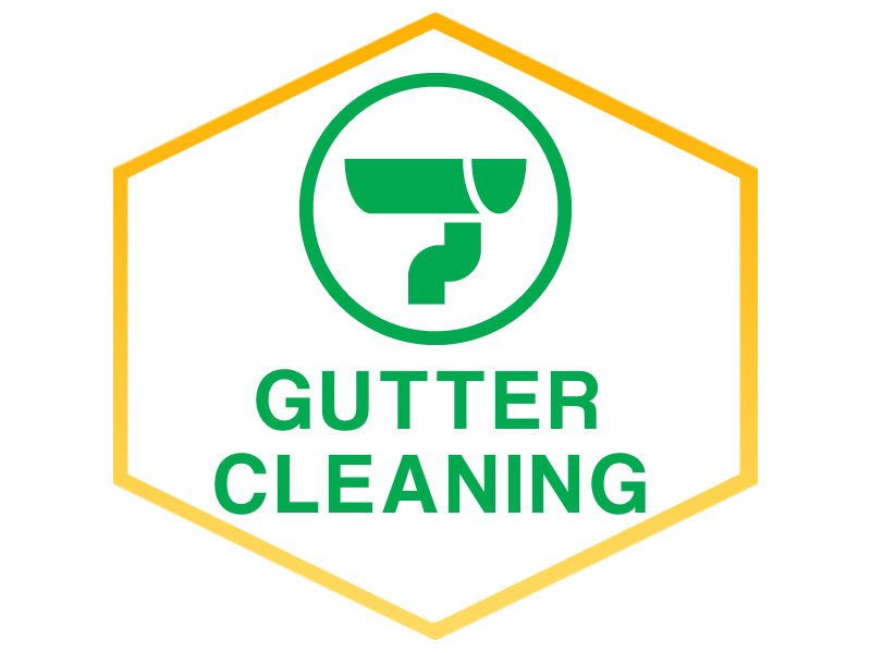 GUTTER CLEANING.png