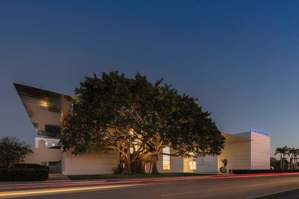 The banyan tree along the South Dixie Highway entrance to the Norton Museum of Art. Photo: Nigel Young .