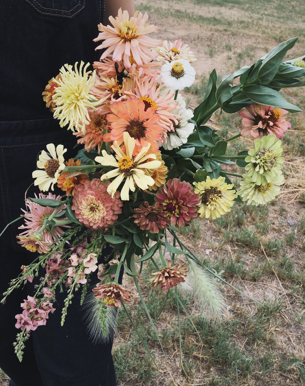 Dallas Floral Designer - Olive Grove Design - Flower Farm Visit