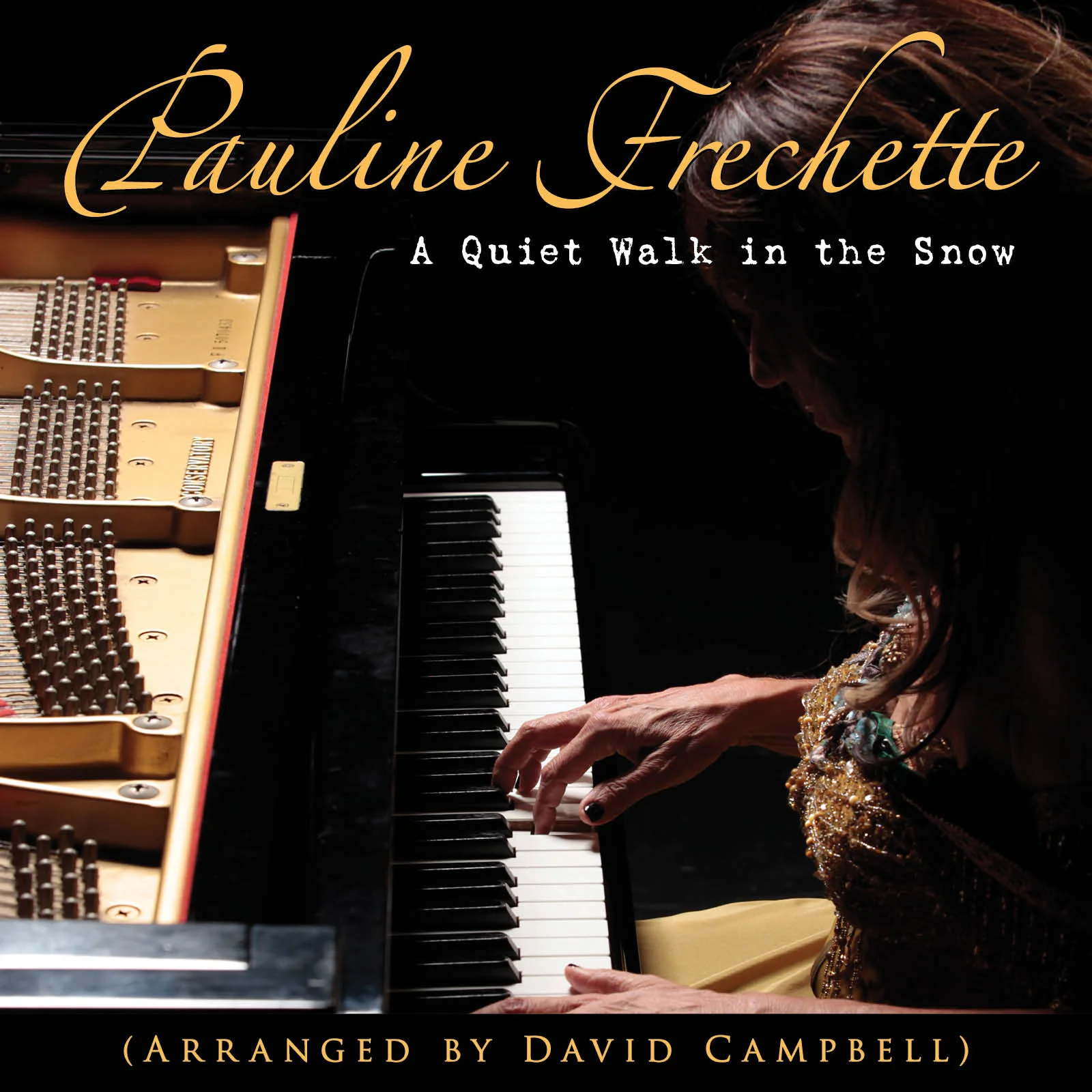 A Quiet Walk In The Snow Single - Download