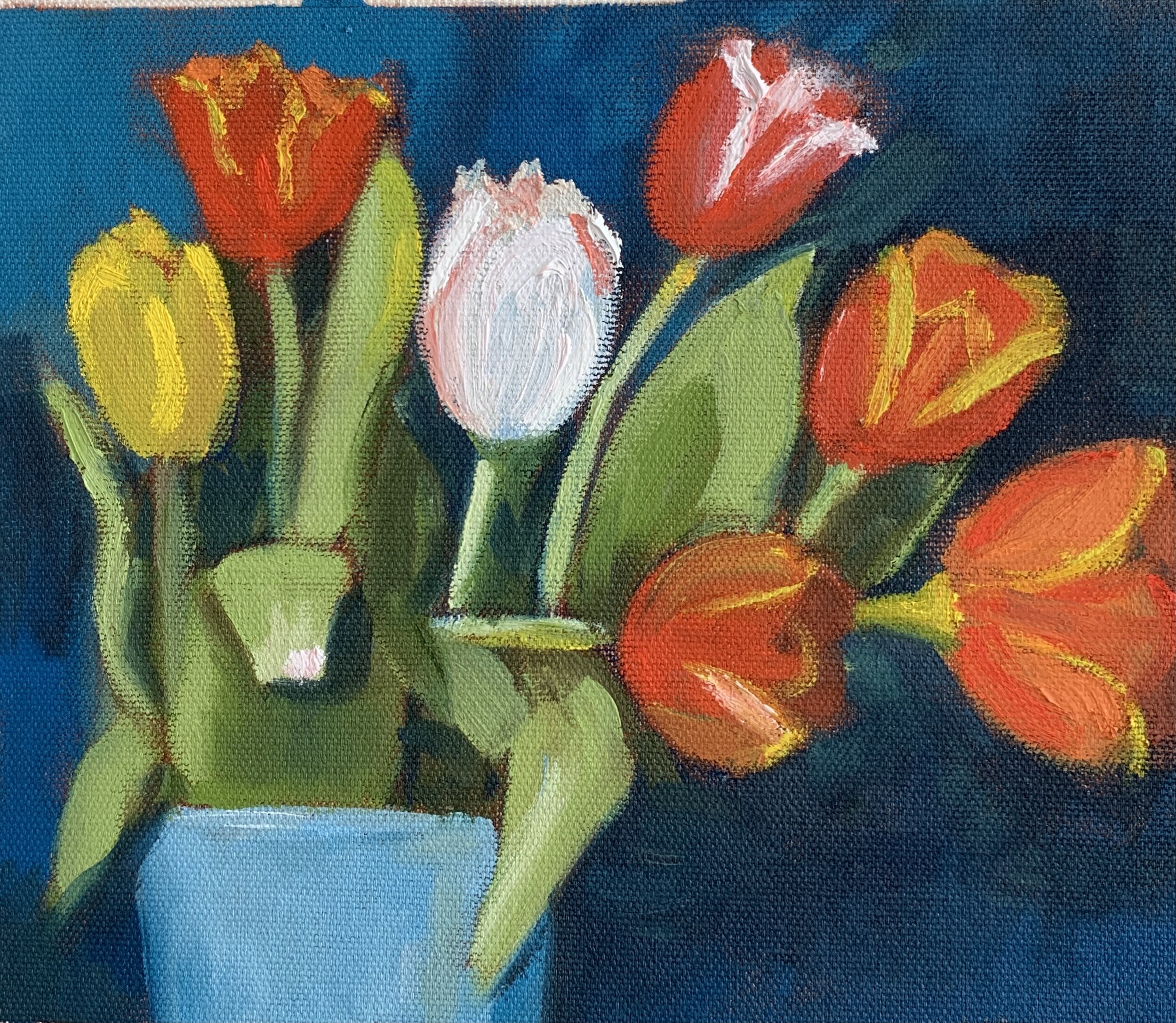 Mini Tulips