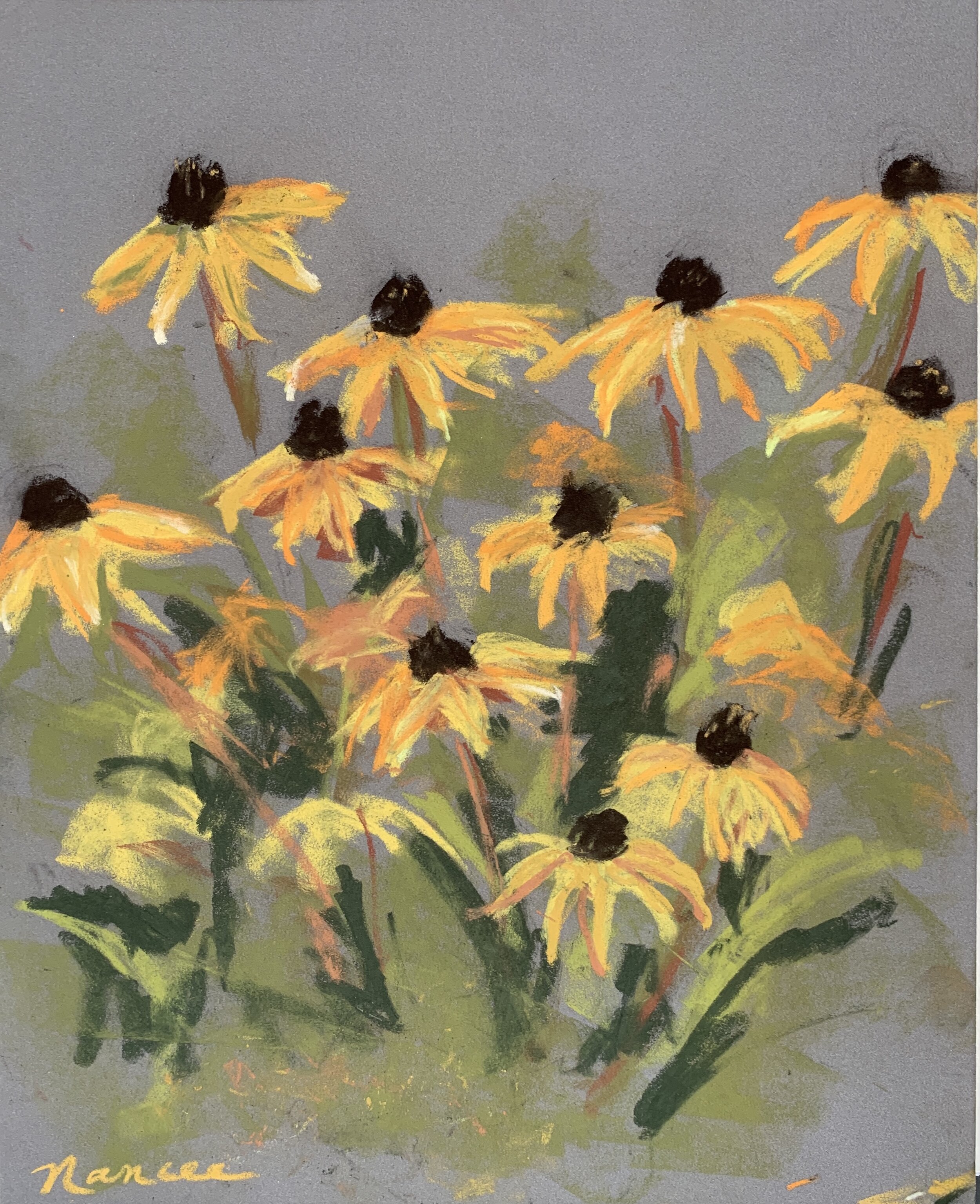 Black-eyed Susans