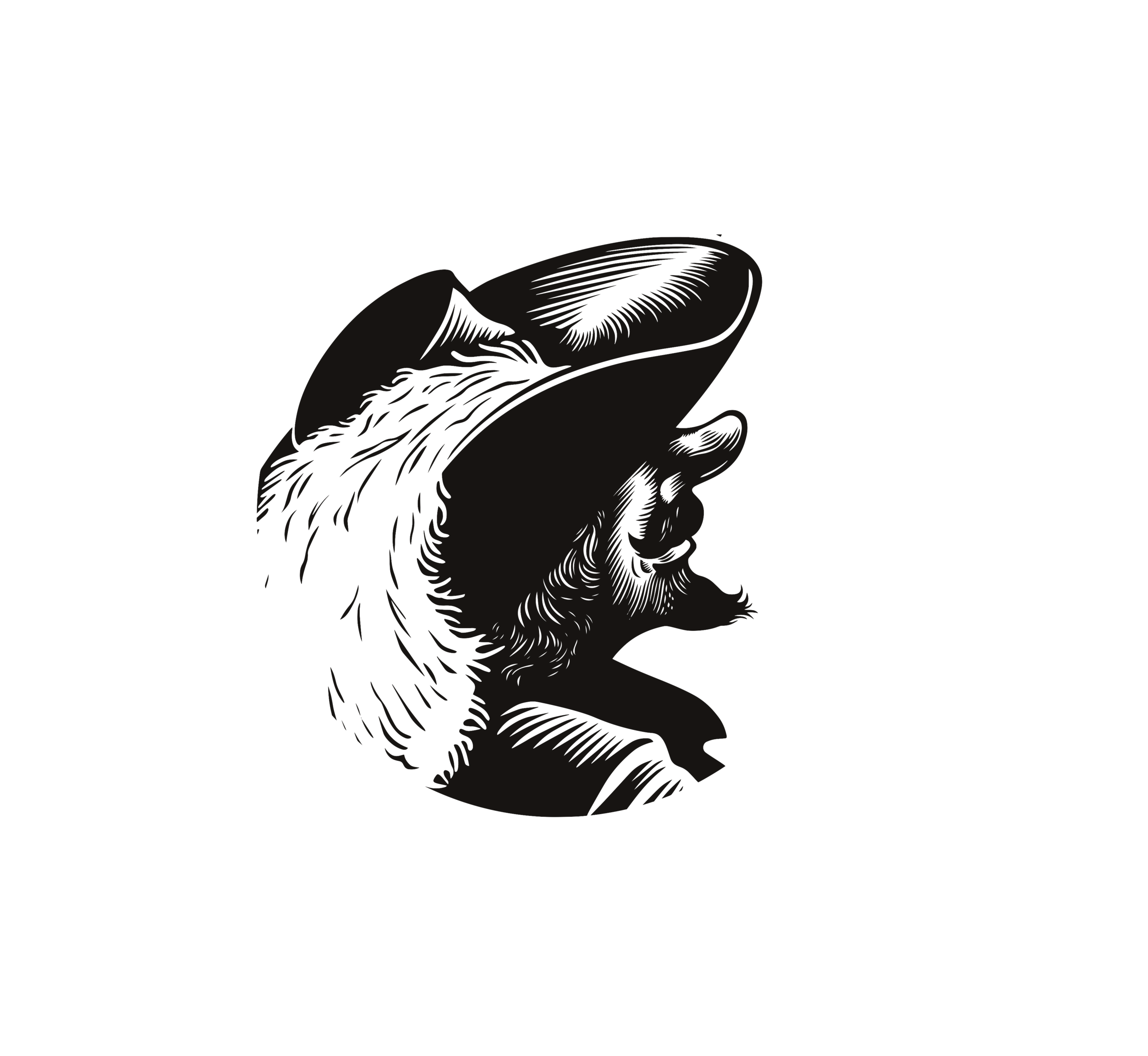 cyrano profile transp.png