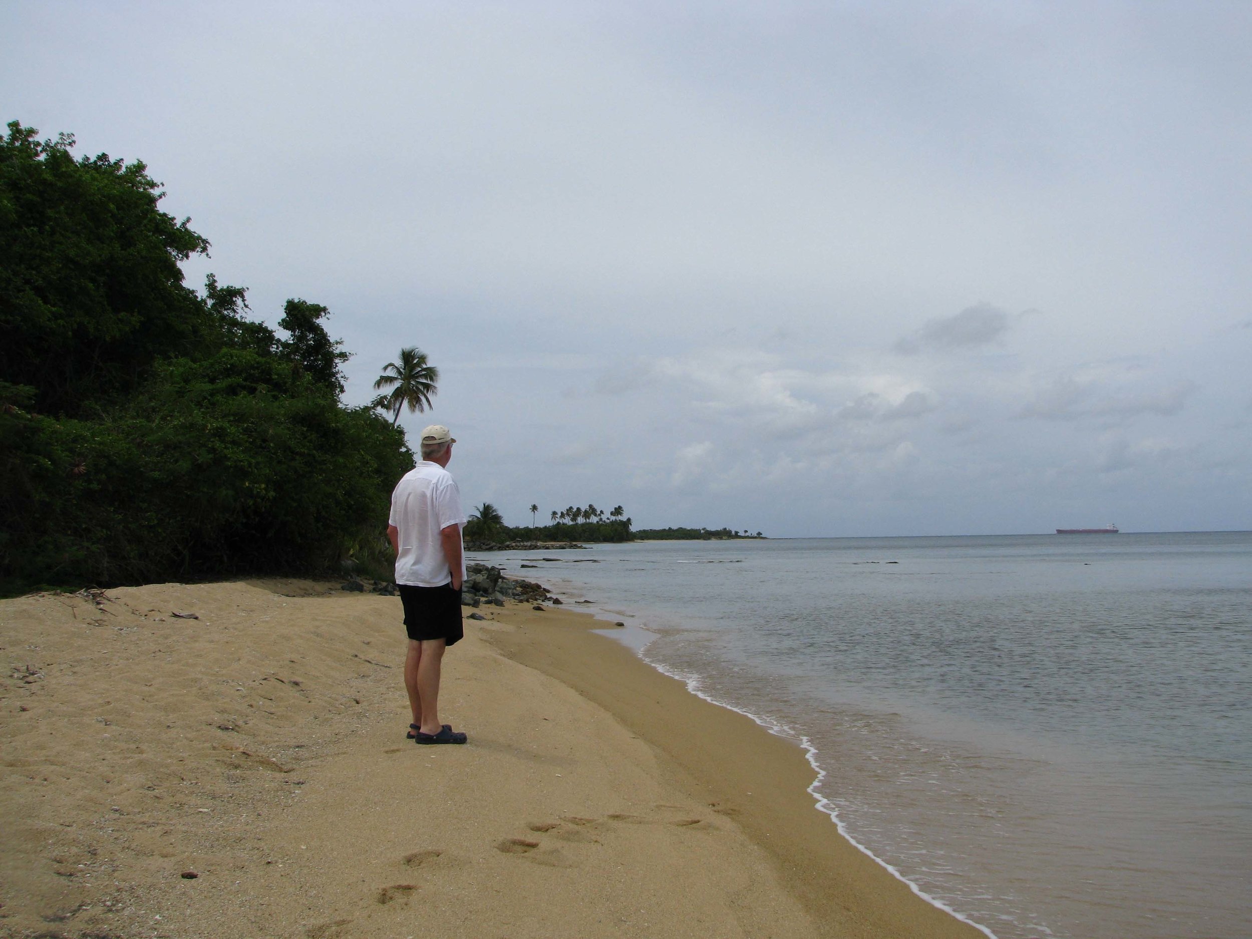 vieques5.JPG