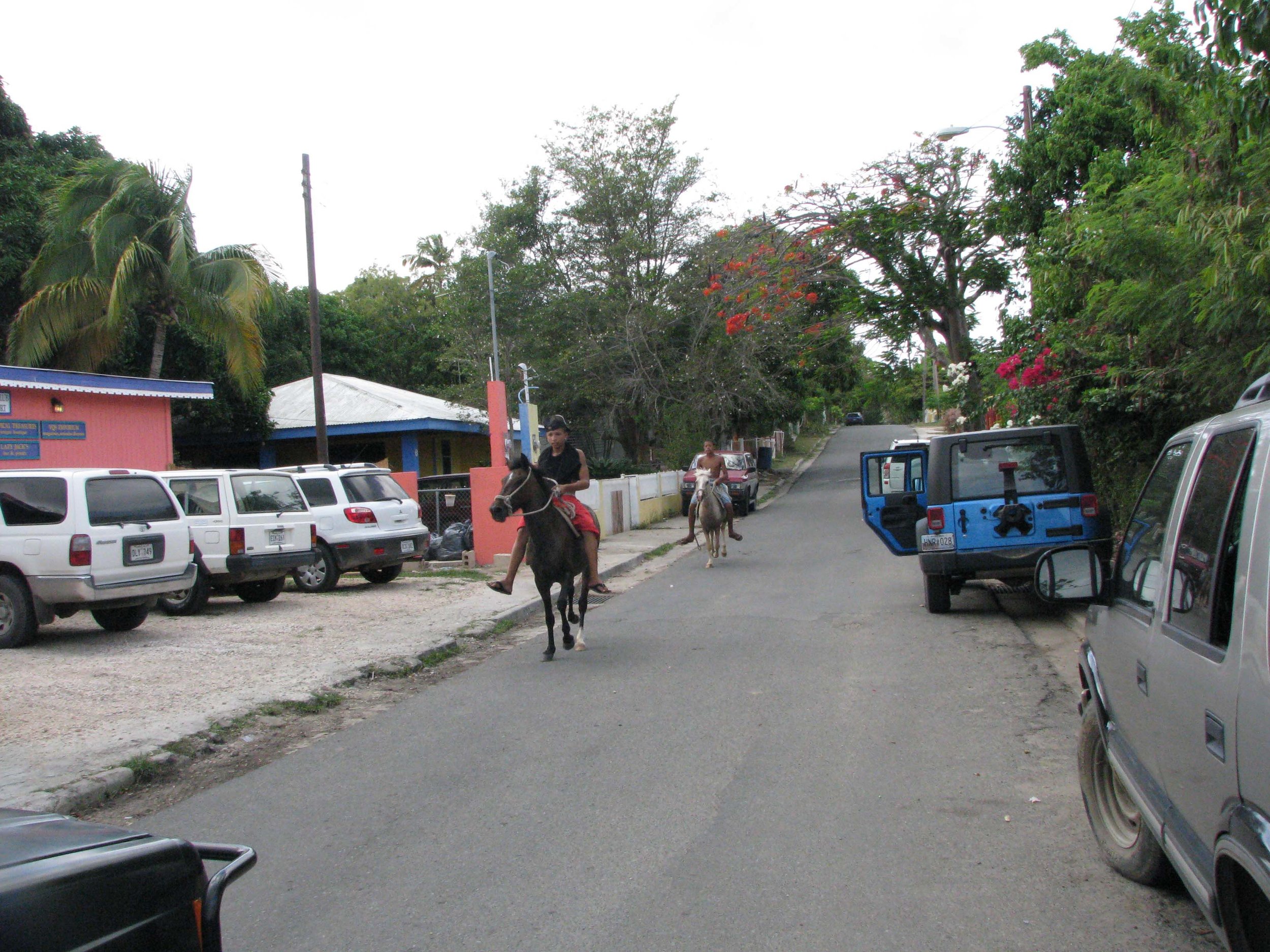 vieques8.JPG