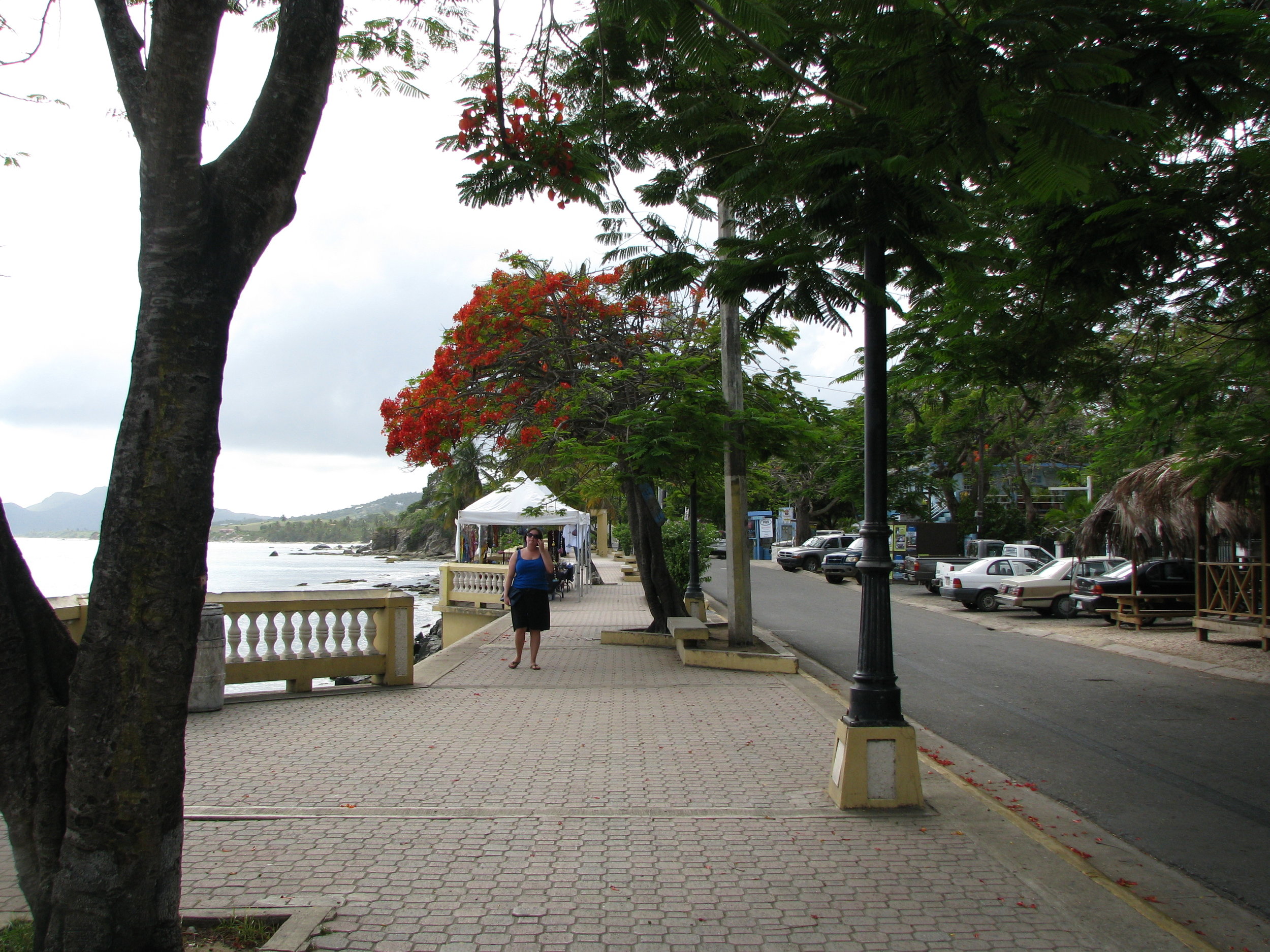 vieques7.JPG