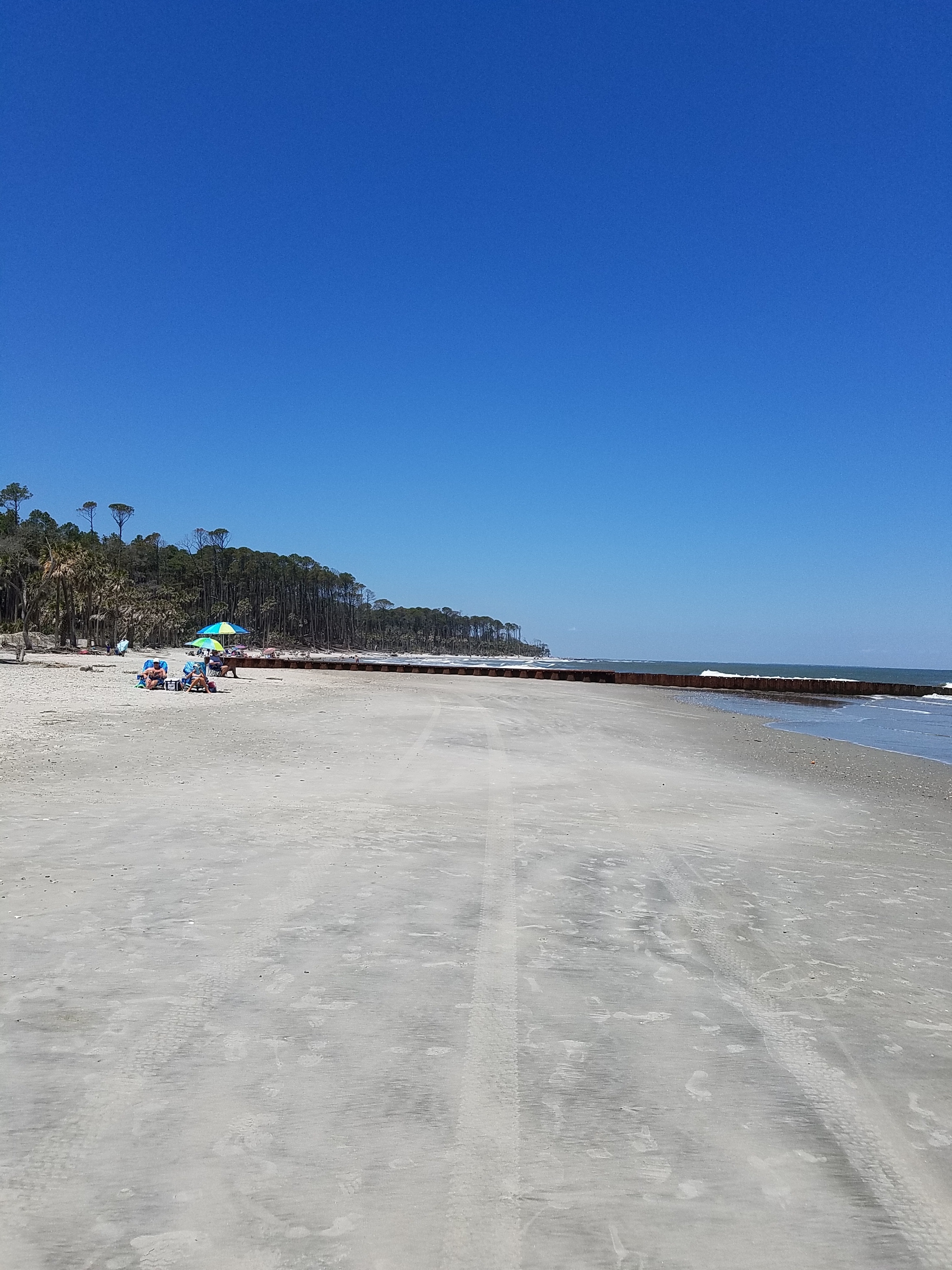 Hunting Island State Park