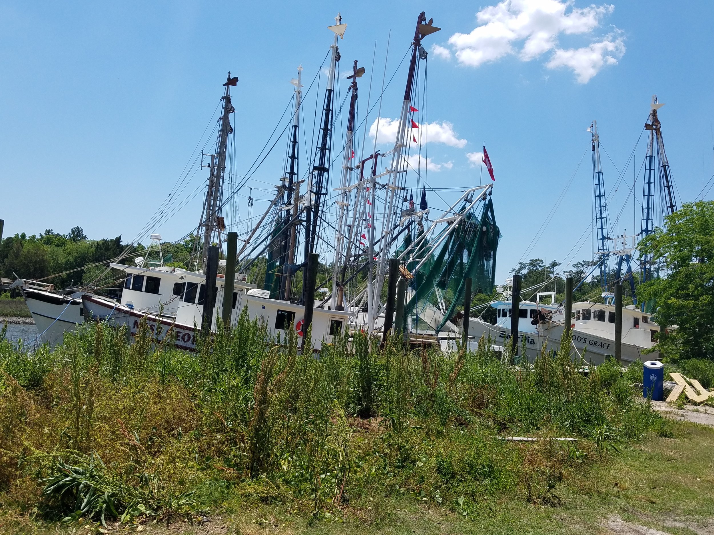 The McLellanville shrimp fleet