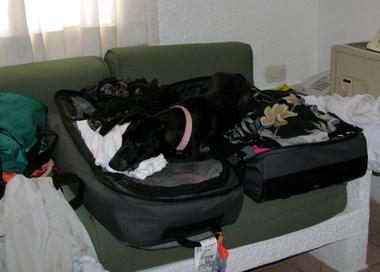 Making sure they pack me too.