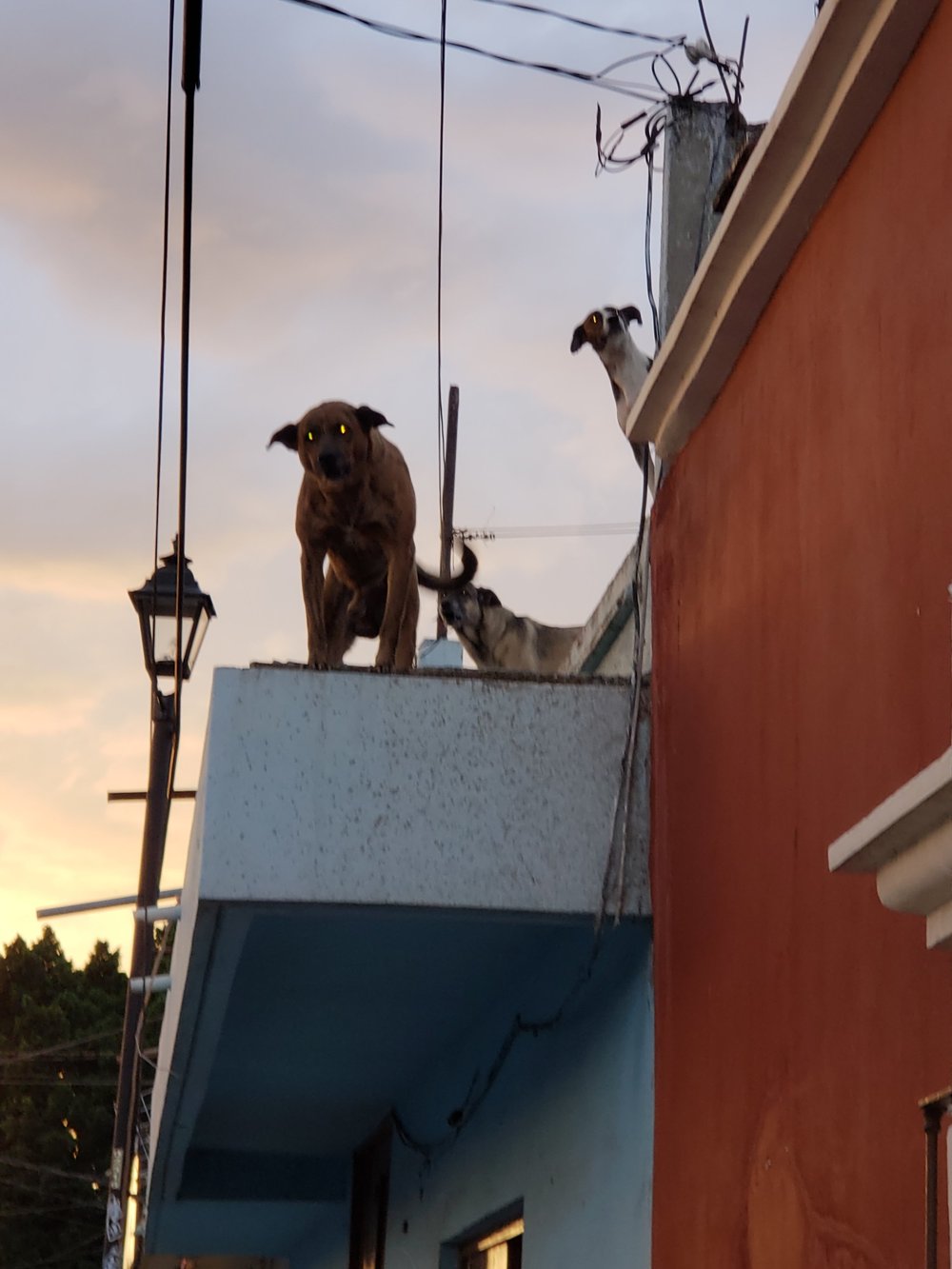 2019-01-23 18.07.20.jpg