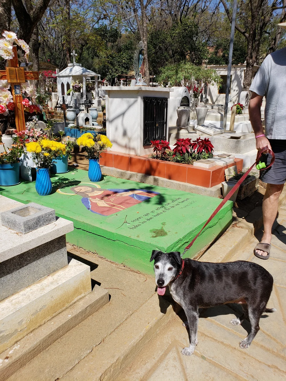 2019-01-25 11.35.10.jpg