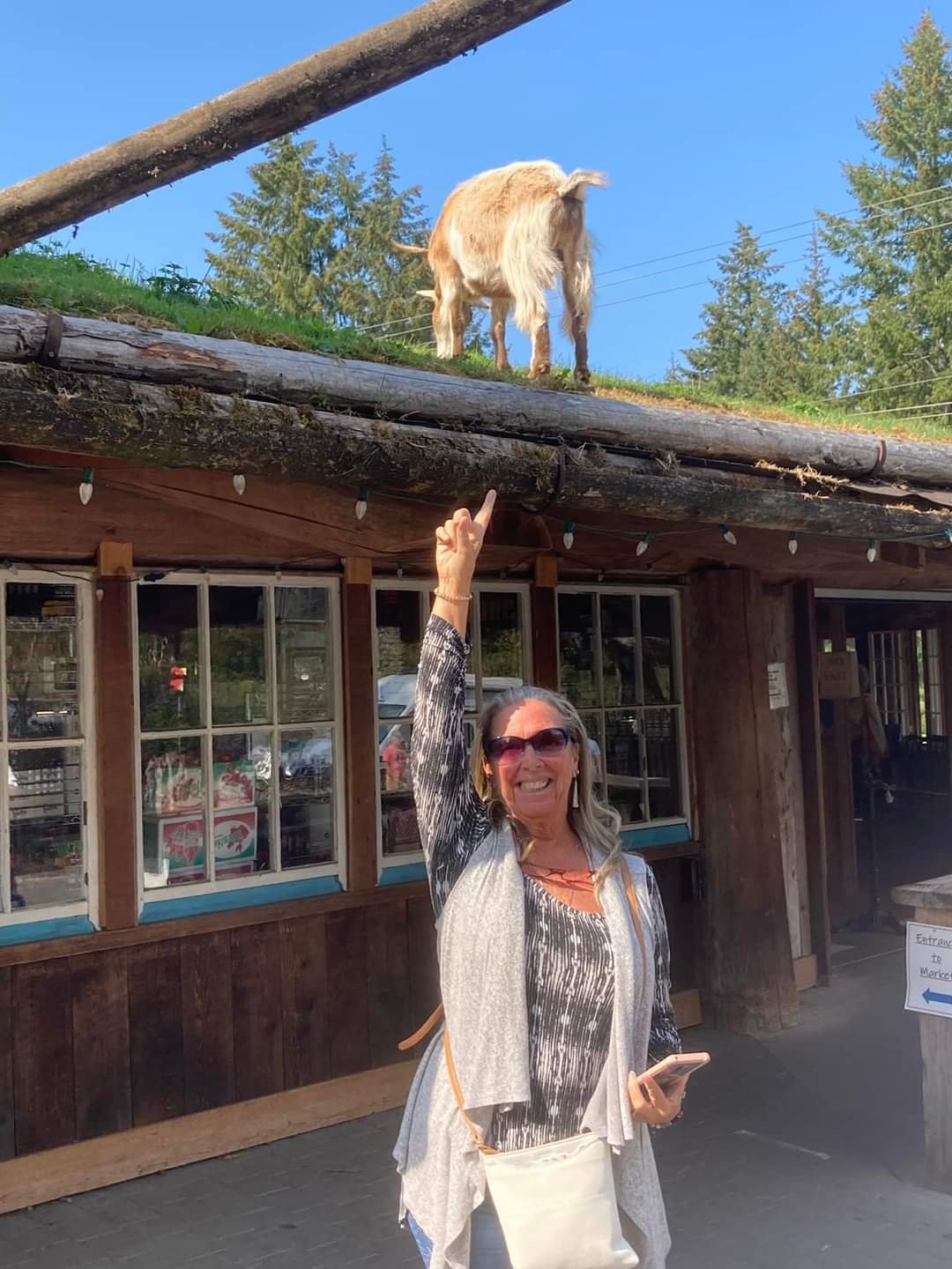 GOAT on the Roof, Vancouver Island