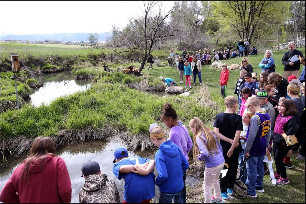 Draper homeowners fight to preserve backyard wetlands despite flood risks