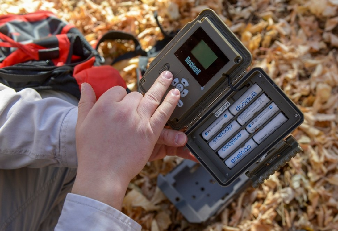 Critter cams have produced thousands of images of wildlife roaming northern Utah’s mountain trails