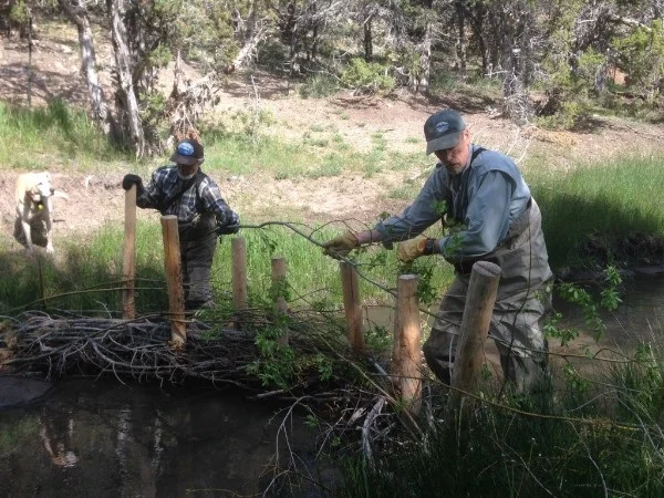 Stream+Restoration.jpg