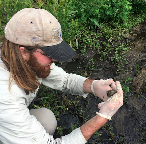 Searching for Utah's Cryptic Boreal Toad