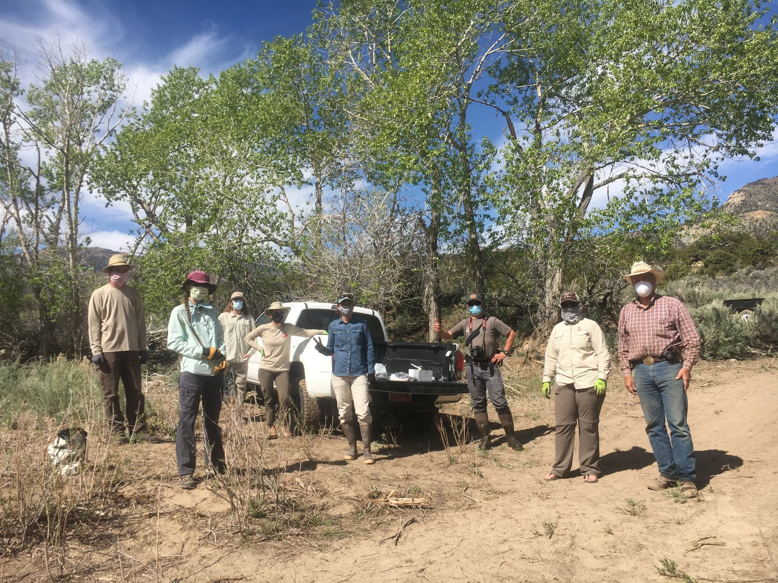 Rancher Restoration, Upcoming Trainings, and Powder-Loving Finches