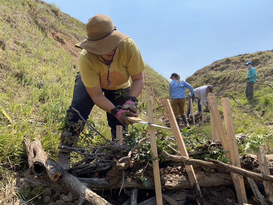 Rose Smith, our new Stream Ecologist, building a stream restoration structure to heal one of Utah's degraded streams.