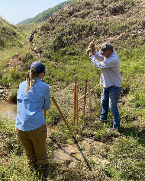 Stream restoration on a small degraded stream in Utah.