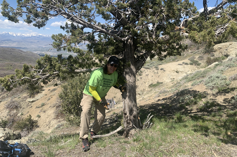 Steven Schmidt setting up a wildlife camera