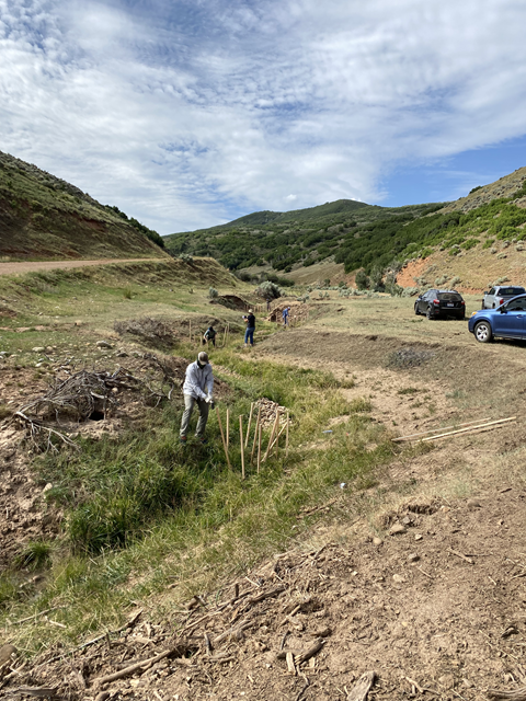 Restoration work on a degraded Utah stream.