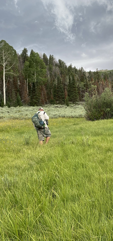 Kevin Wheeler (Utah Division of Wildlife Resources) surveys for boreal toads.