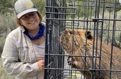 Up Close with Beavers, A (Spooky) New Project, and More!