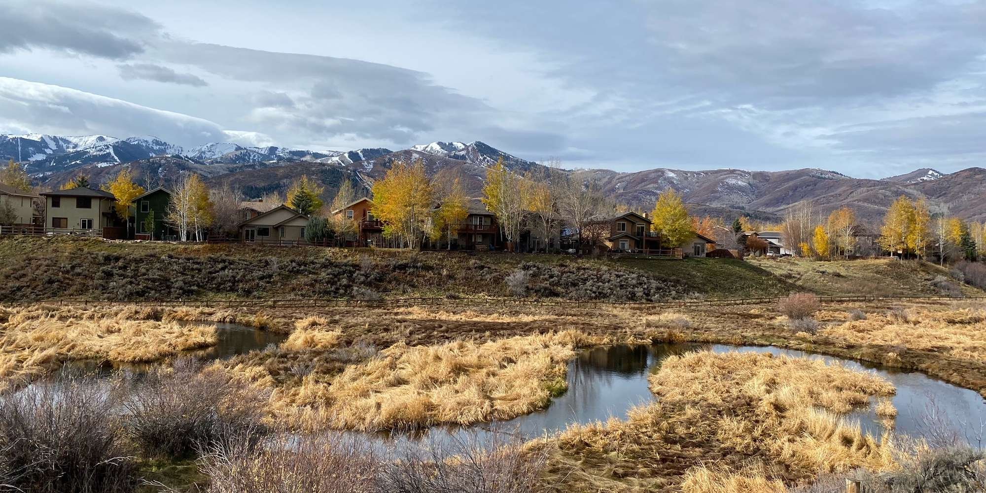  Springtime Is Planting Season!