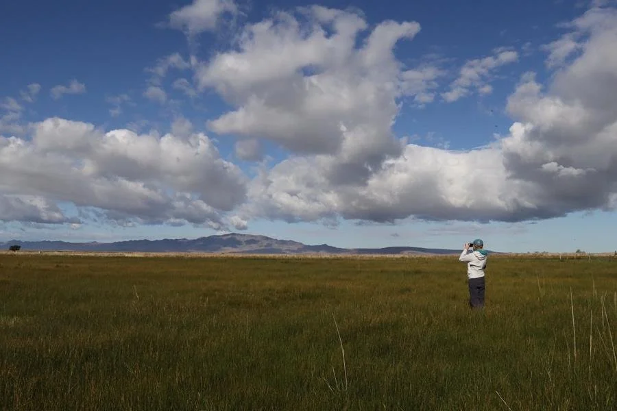   Kicking off three wildlife projects!  