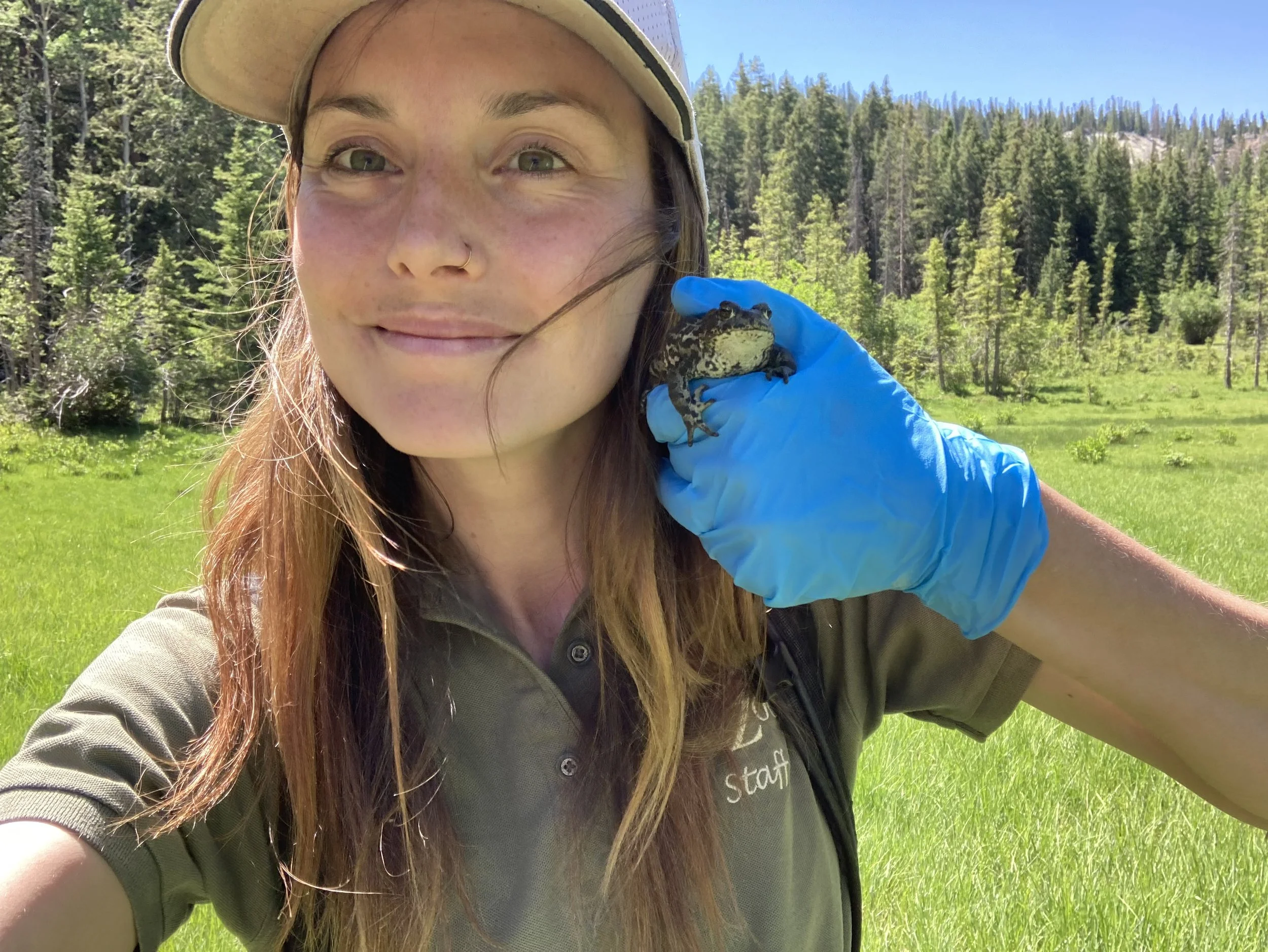 A Lifelong (Warty) Love: Boreal Toads &amp; Hogle Zoo’s Kayleigh Mullen 