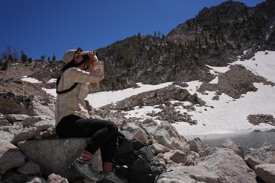     Crisis in the Alpine: Finding the Right Questions for Conservation Action